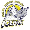 Central Icepak