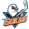 Director, AHL Communications and Broadcasting – San Diego Gulls