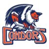 Manager, Community Relations & Marketing – Bakersfield Condors