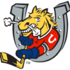 Head Athletic Therapist – Barrie Colts