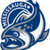 Coordinator of Community Development – Mississauga Steelheads