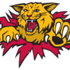 Content and Social Media Coordinator – Moncton Wildcats