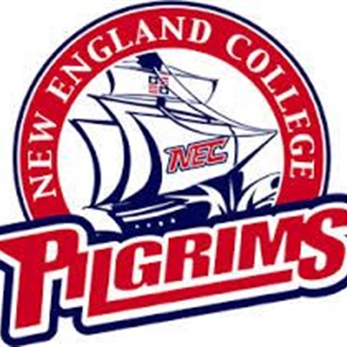 new-england-college-ice-hockey-jobs