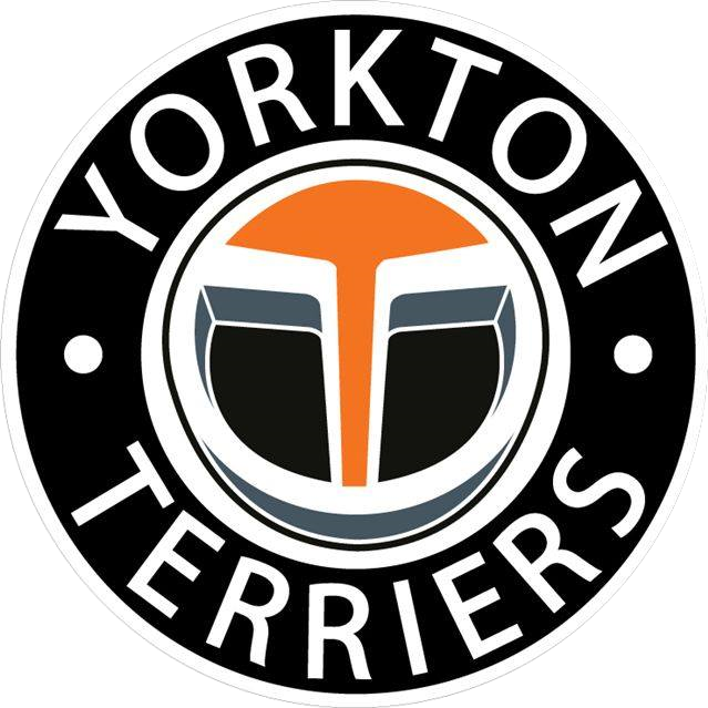 Director of Marketing and Public Relations – Yorkton Terriers