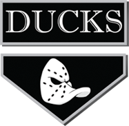 Hockey Scouts – Wisconsin Dells Ducks (Baraboo, WI)