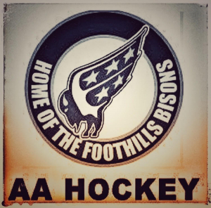 Head Coach & Assistant Coaches – Foothills Bisons AA Hockey (Alberta)