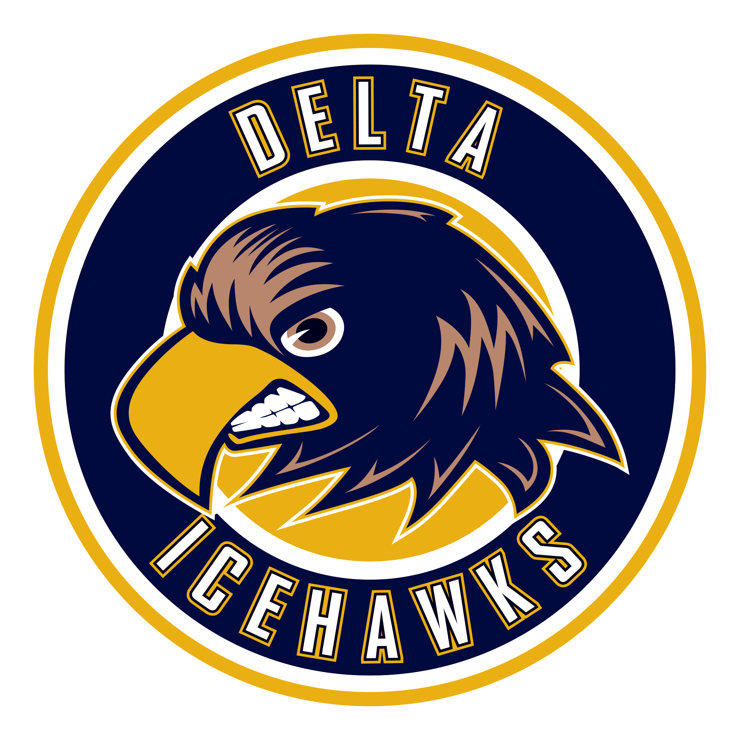 Athletic Trainer – Delta Ice Hawks