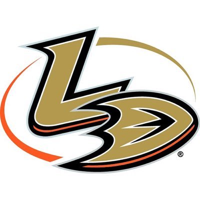 Hockey Director – Anaheim Lady Ducks