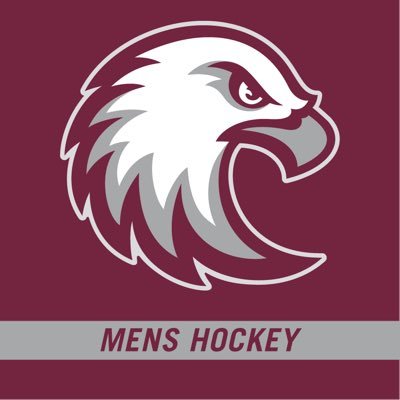 Assistant Coach Men’s Ice Hockey – Augsburg University