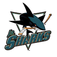 Director of Jr. Sharks Hockey – Sharks sports and Entertainment LLC