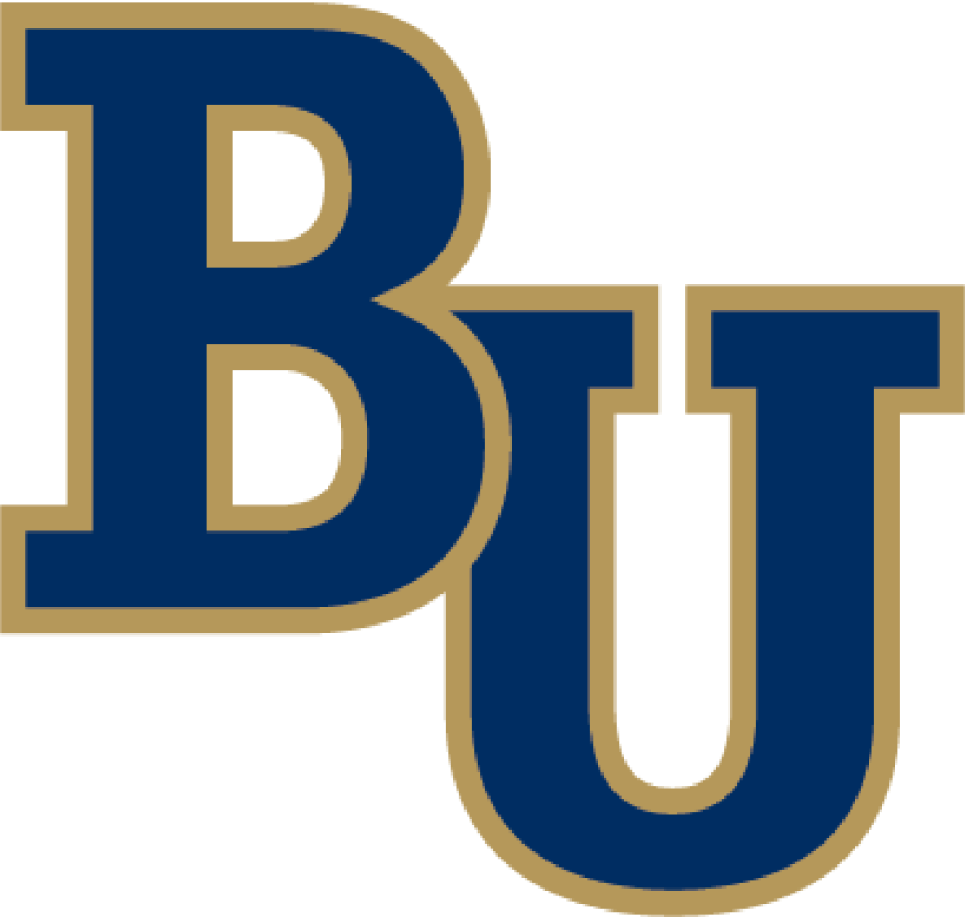 Assistant Coach Men’s Ice Hockey – Bethel University