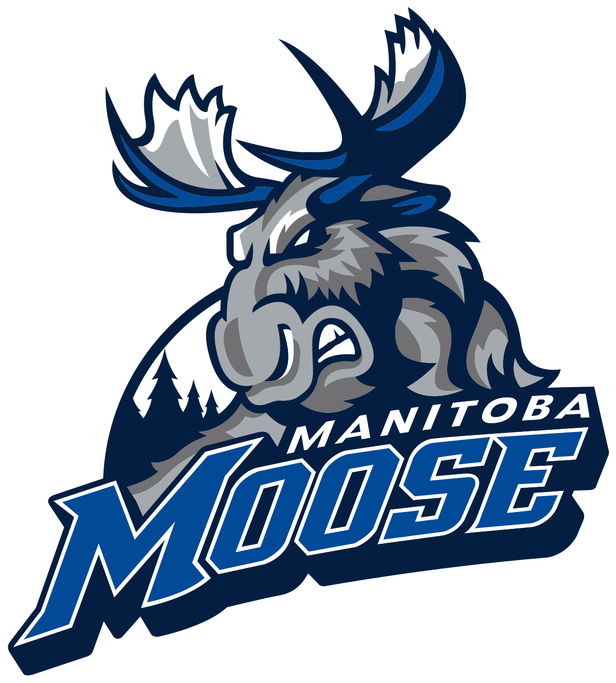 Assistant Coach – Minnesota Moose