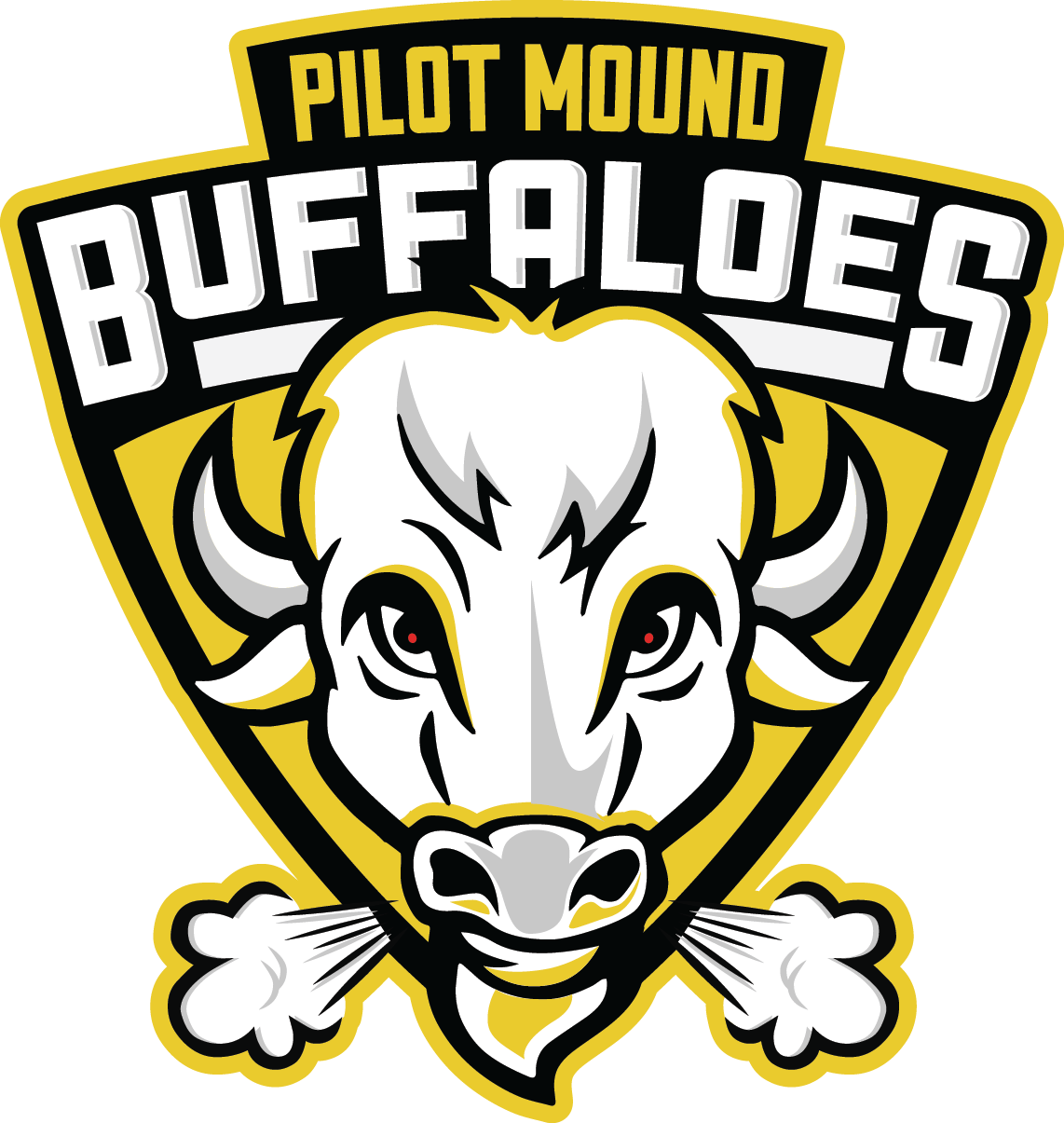 U18 Female Prep Hockey Coach – Pilot Mound Hockey Academy