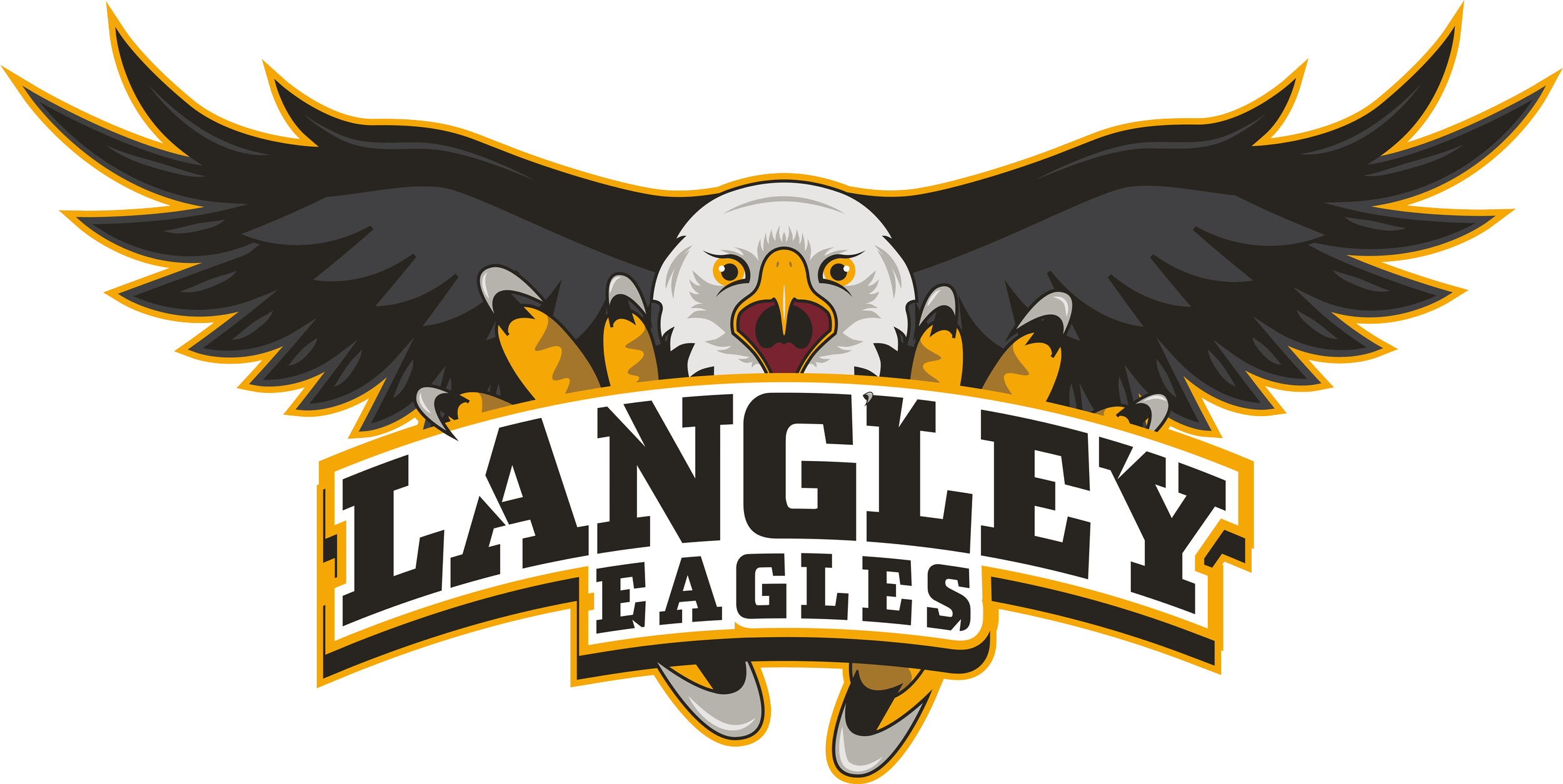 Hockey Development Lead – Langley Minor Hockey Association