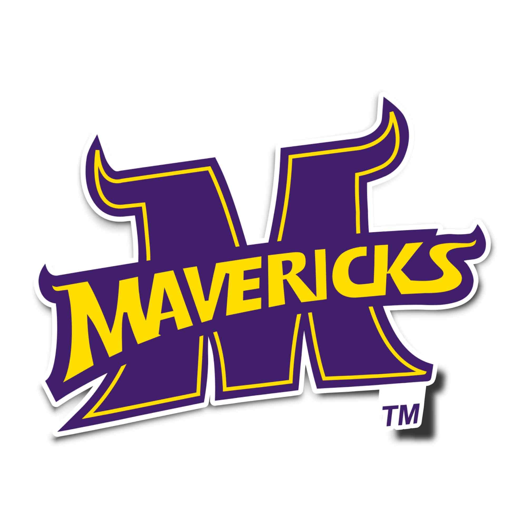 Assistant Coach Women’s Ice Hockey – Minnesota State Women’s Hockey