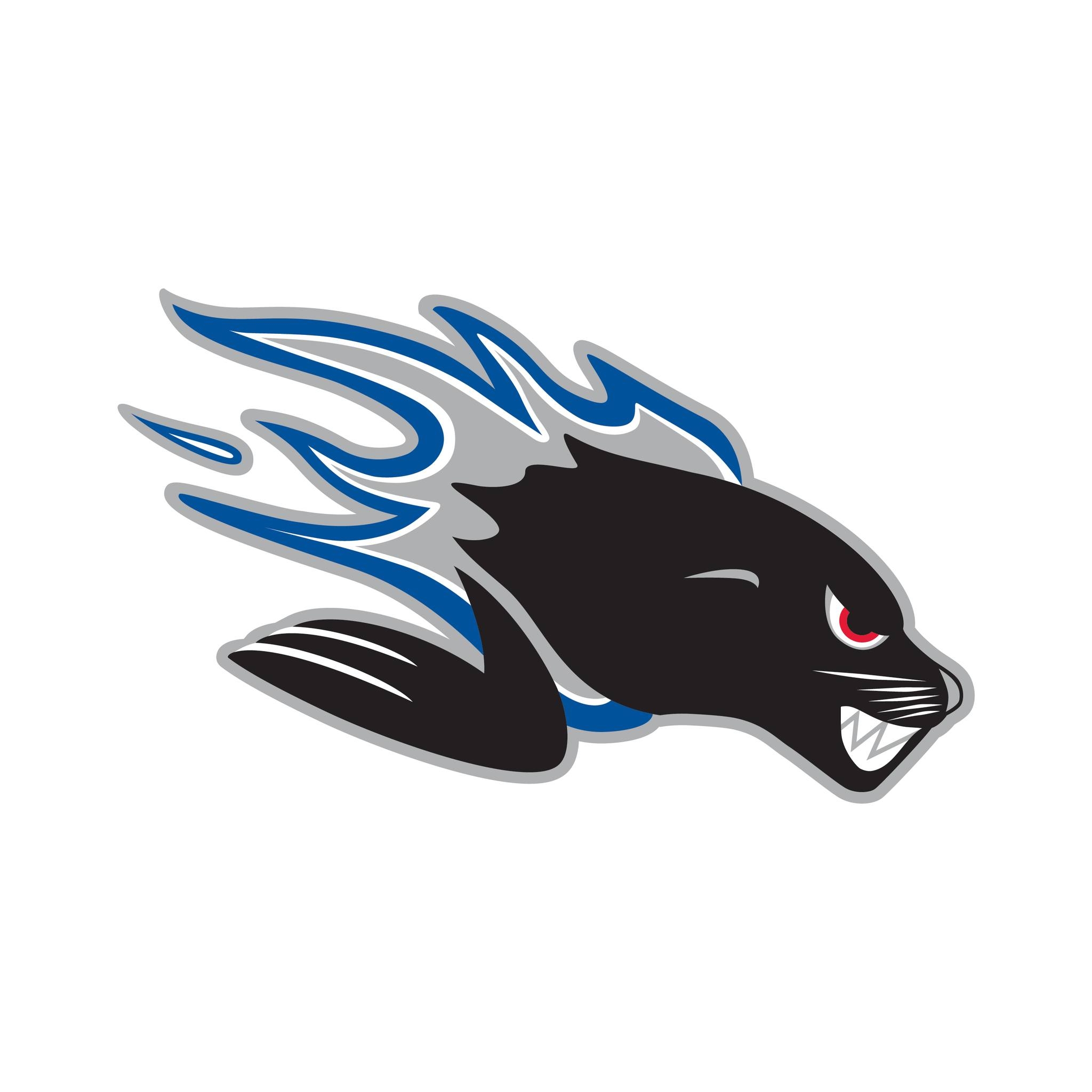 Manager, Sales and Partnerships – Saint John Sea Dogs