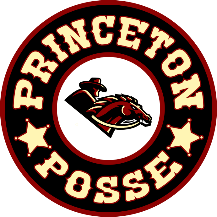 Assistant Coach & Assistant GM – Princeton Posse